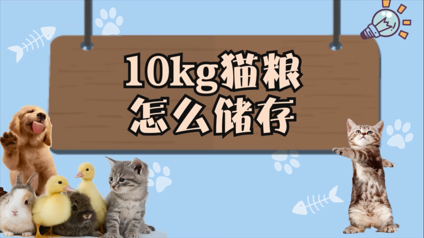 10kg猫粮怎么储存
